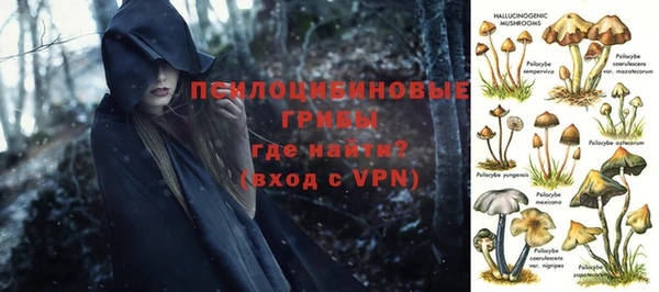 МДПВ Михайловка