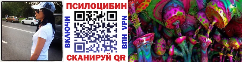 закладка  Староминская  Псилоцибиновые грибы Psilocybine cubensis 